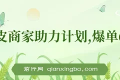 虾皮商家全自动助力计划：爆单玩法6.0揭秘