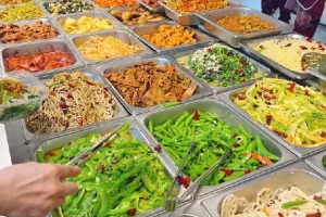 700种中式快餐技术配方：大锅菜、盒饭、炒菜与外卖秘籍