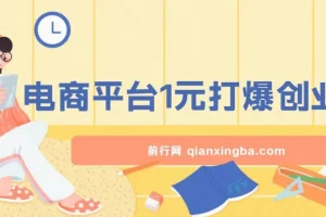 电商平台1元引流创业粉课程：日引500+精准粉