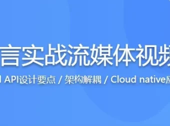 Go语言实战流媒体视频网站开发课程：源码课件全掌握