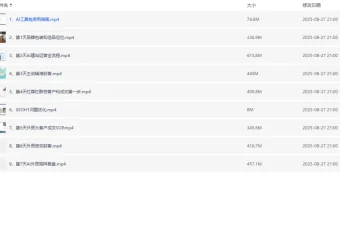 AI闪电做外贸建站训练营第26期