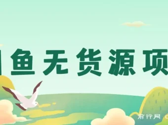 闲鱼无货源创业项目