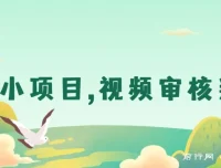 无人售货视频审核兼职项目，每日轻松赚取数十上百元