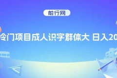 抖音快手成人识字冷门项目课程