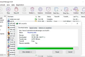 Internet Download Manager 6.42.11中文特别版：强大下载工具