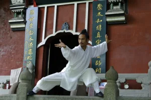 武当袁师懋道长：正宗养生八段锦教学资源