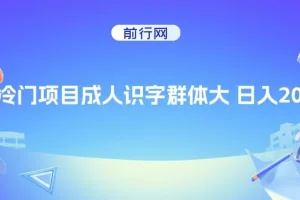 抖音快手成人识字冷门项目课程
