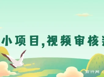 无人售货视频审核兼职项目，每日轻松赚取数十上百元