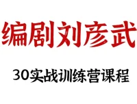 刘彦武编剧30天实战训练营