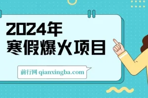 2024年寒假小游戏直播项目：实现高收益机会
