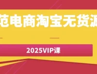 老范电商淘宝无货源2025 VIP课