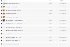 赖世雄美式发音38讲学习课