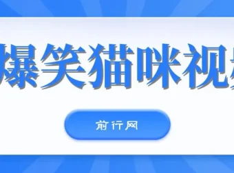 爆笑猫咪视频：视频号搞钱策略课程