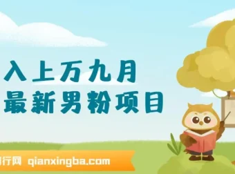 九月男粉变现项目：日引500+色粉，单日收款超千元