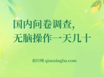国内问卷调查实操课程：轻松日赚50+