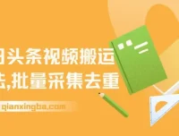 今日头条视频搬运玩法：软件一键去重项目介绍