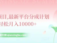 最新平台分成计划：单号月入过万的风口项目