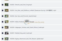 BBC儿童英文节目《Go Wild》：户外自然科普视听盛宴