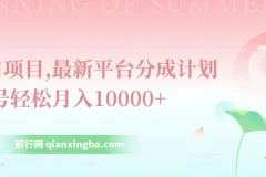 最新平台分成计划：单号月入过万的风口项目