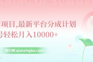 最新平台分成计划：单号月入过万的风口项目