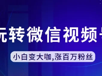 微信视频号运营课程：从入门到涨粉百万