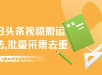 今日头条视频搬运玩法：软件一键去重项目介绍