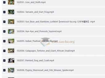 BBC儿童英文节目《Go Wild》：户外自然科普视听盛宴