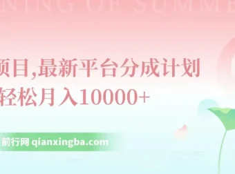 最新平台分成计划：单号月入过万的风口项目