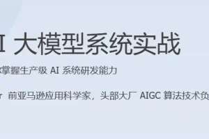 AI大模型系统实战（完结）课程介绍