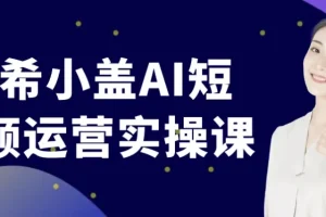 南希小盖 AI 短视频运营实操课程