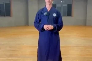 韩湘子亲授武当八极拳养生防身教学