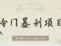 抖音车载U盘销售暴利项目教程（附素材）