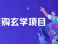 高复购玄学项目教程与话术：小白入门无限制