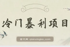 抖音车载U盘销售暴利项目教程（附素材）