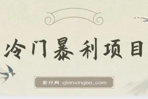 抖音车载U盘销售暴利项目教程（附素材）