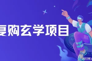 高复购玄学项目教程与话术：小白入门无限制