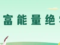 财富能量绝学：探寻财富与能量奥秘