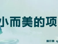 视频点赞赚钱项目：小而美，收益快