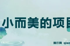 视频点赞赚钱项目：小而美，收益快