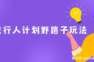 抖音游戏发行人计划野路子玩法