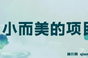 视频点赞赚钱项目：小而美，收益快