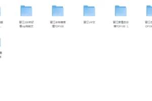 各大网站VIP完结小说前100名精选