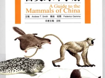 《中国兽类野外手册》：全面兽类指南