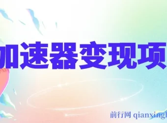 加速器变现项目：单人手机轻松操作，多劳多得