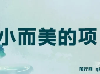 视频点赞赚钱项目：小而美，收益快