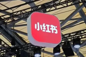 小红书虚拟电商14天变现训练营：低成本实操指南