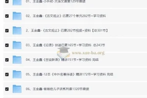 王金鑫领读课程全集