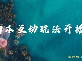 抖音狗狗本弹幕礼物互动小游戏：无人直播玩法