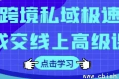 跨境私域极速成交线上高级课程