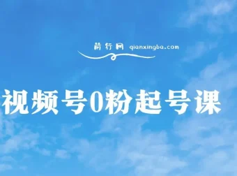 视频号0粉起号实操课程：自然流与微付费结合